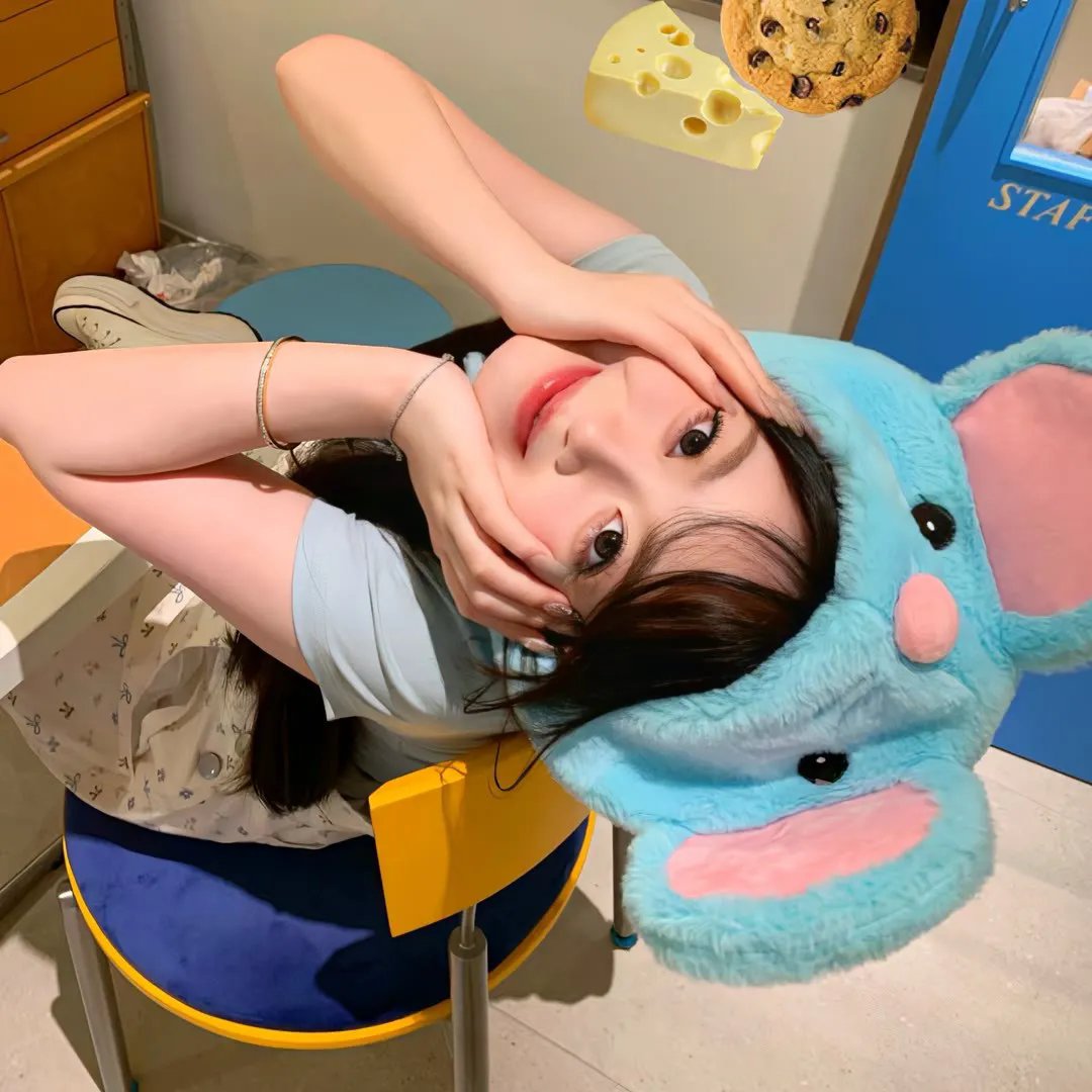 逐爱之旅